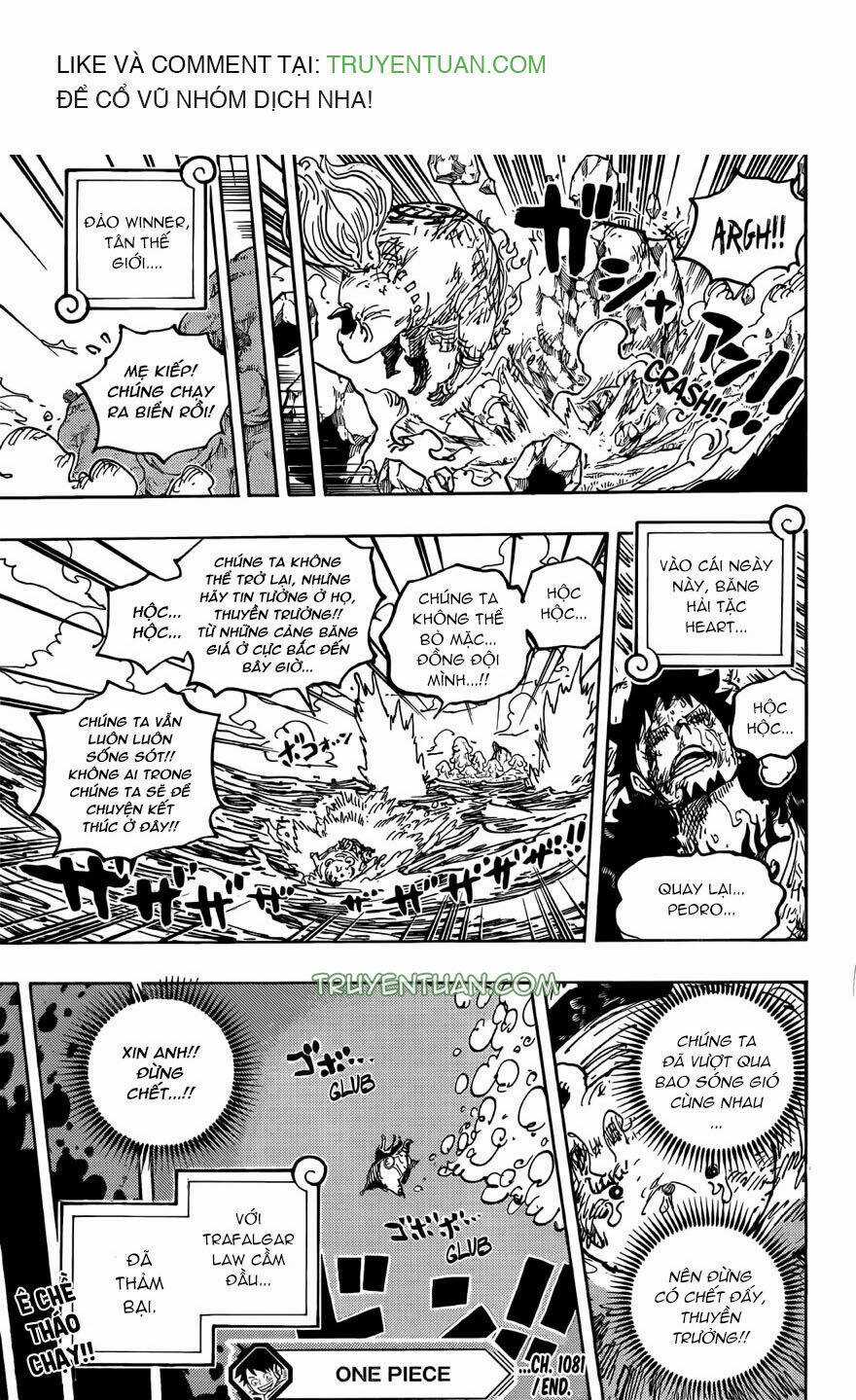 Đảo Hải Tặc - Chapter 1081 - Trang 15