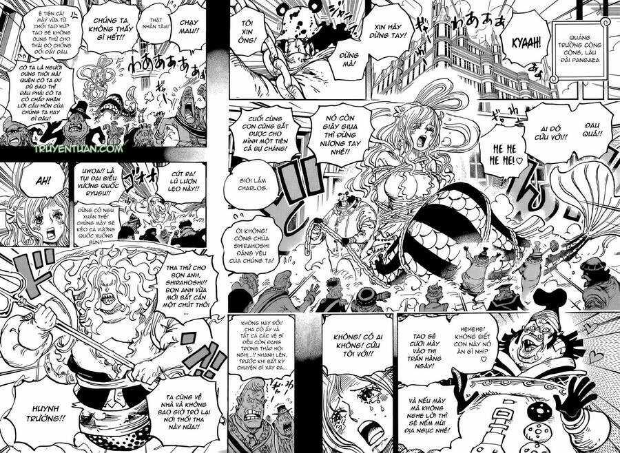 Đảo Hải Tặc - Chapter 1084 - Trang 11