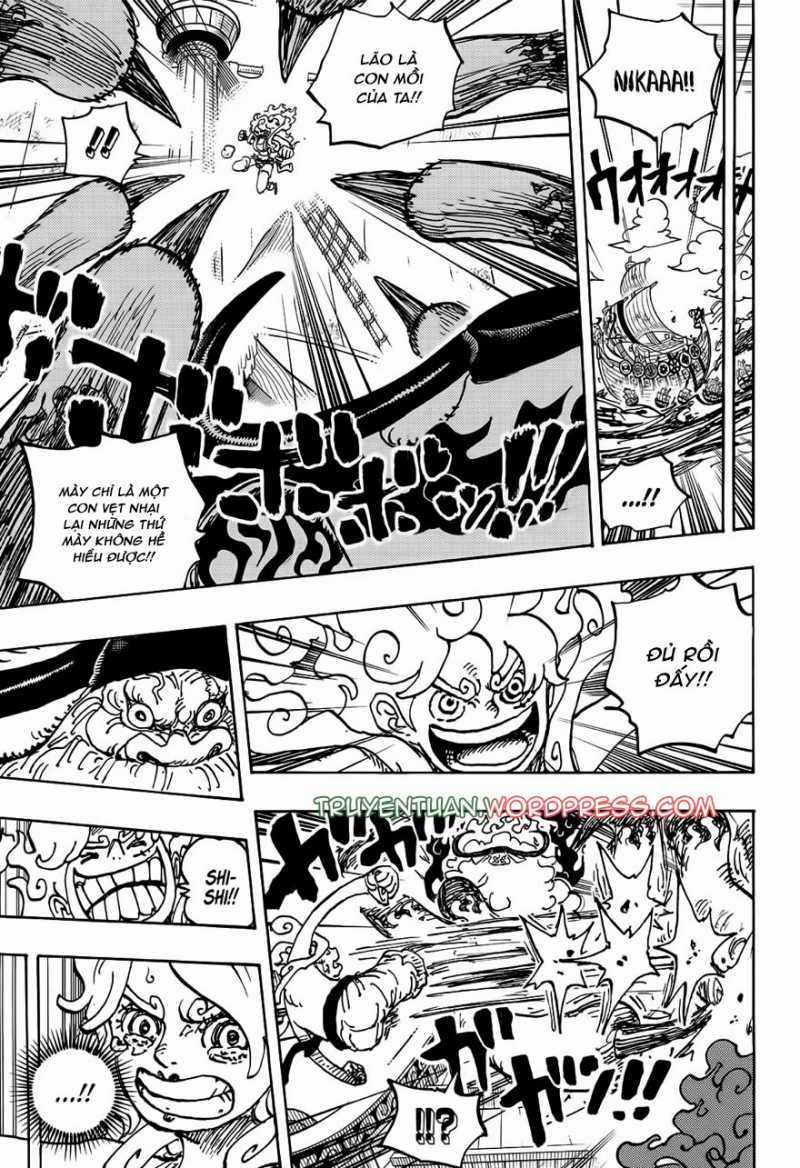 Đảo Hải Tặc - Chapter 1121 - Trang 8