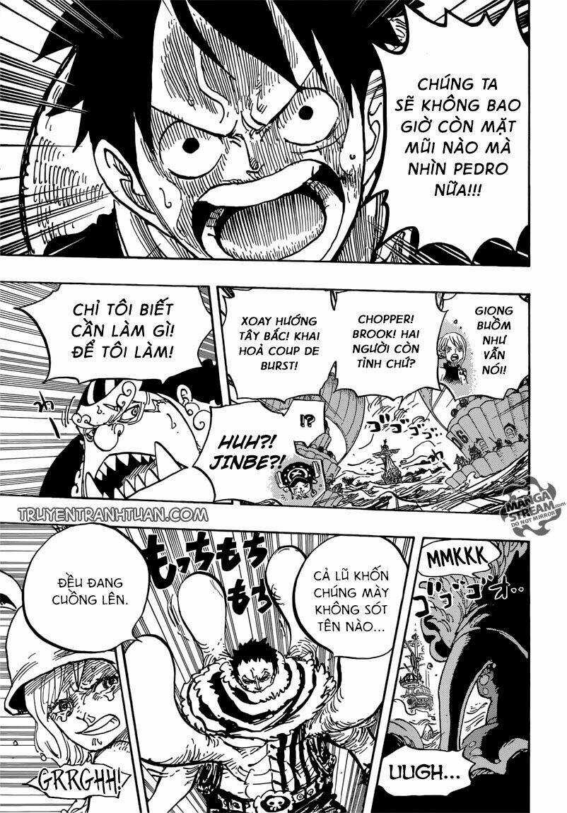 Đảo Hải Tặc - Chapter 878 - Trang 11