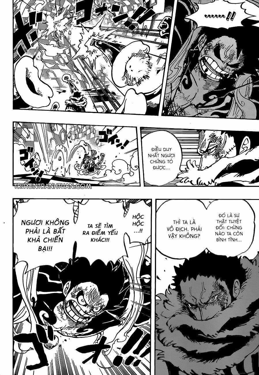 Đảo Hải Tặc - Chapter 885 - Trang 4