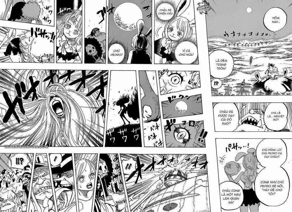 Đảo Hải Tặc - Chapter 888 - Trang 9