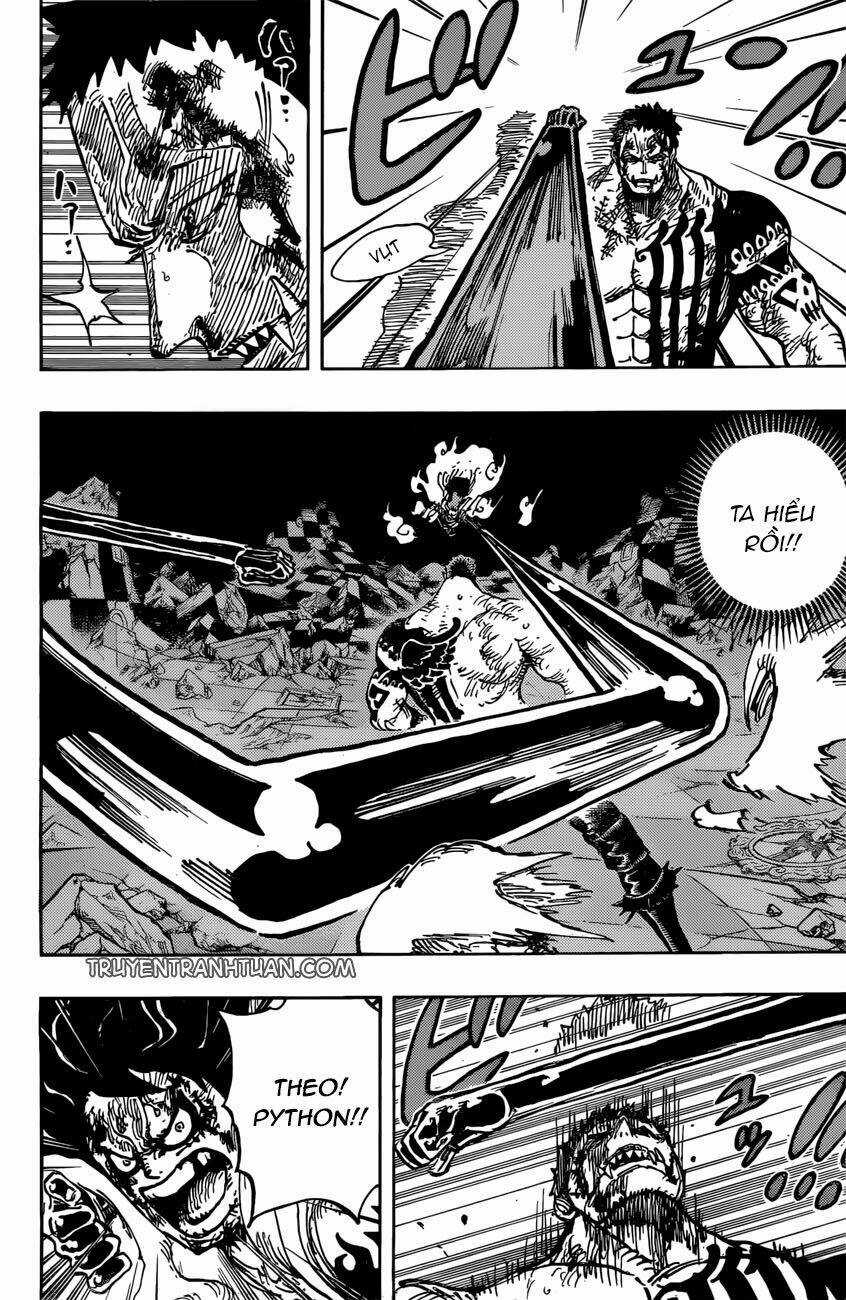 Đảo Hải Tặc - Chapter 895 - Trang 5