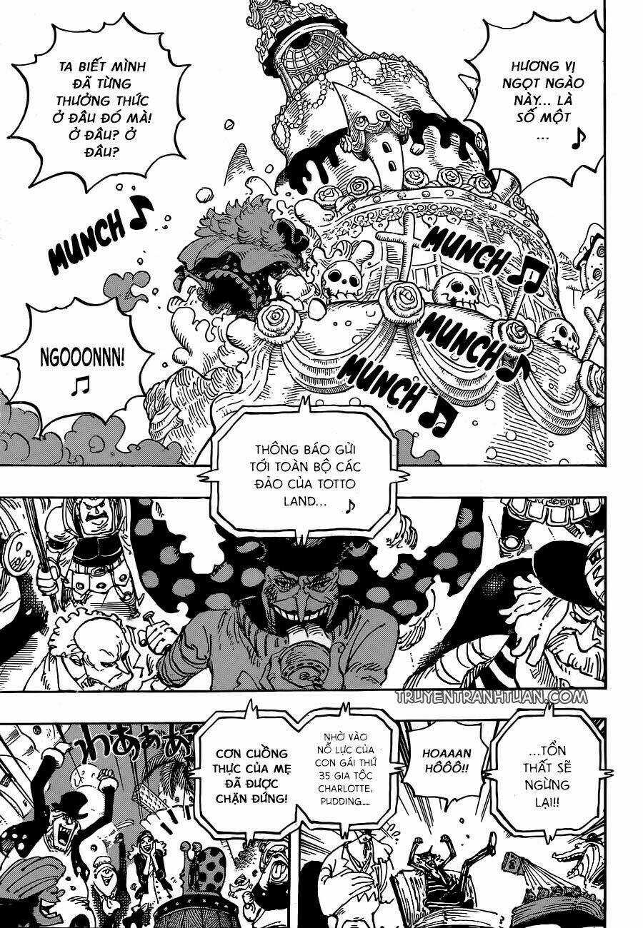 Đảo Hải Tặc - Chapter 900 - Trang 8