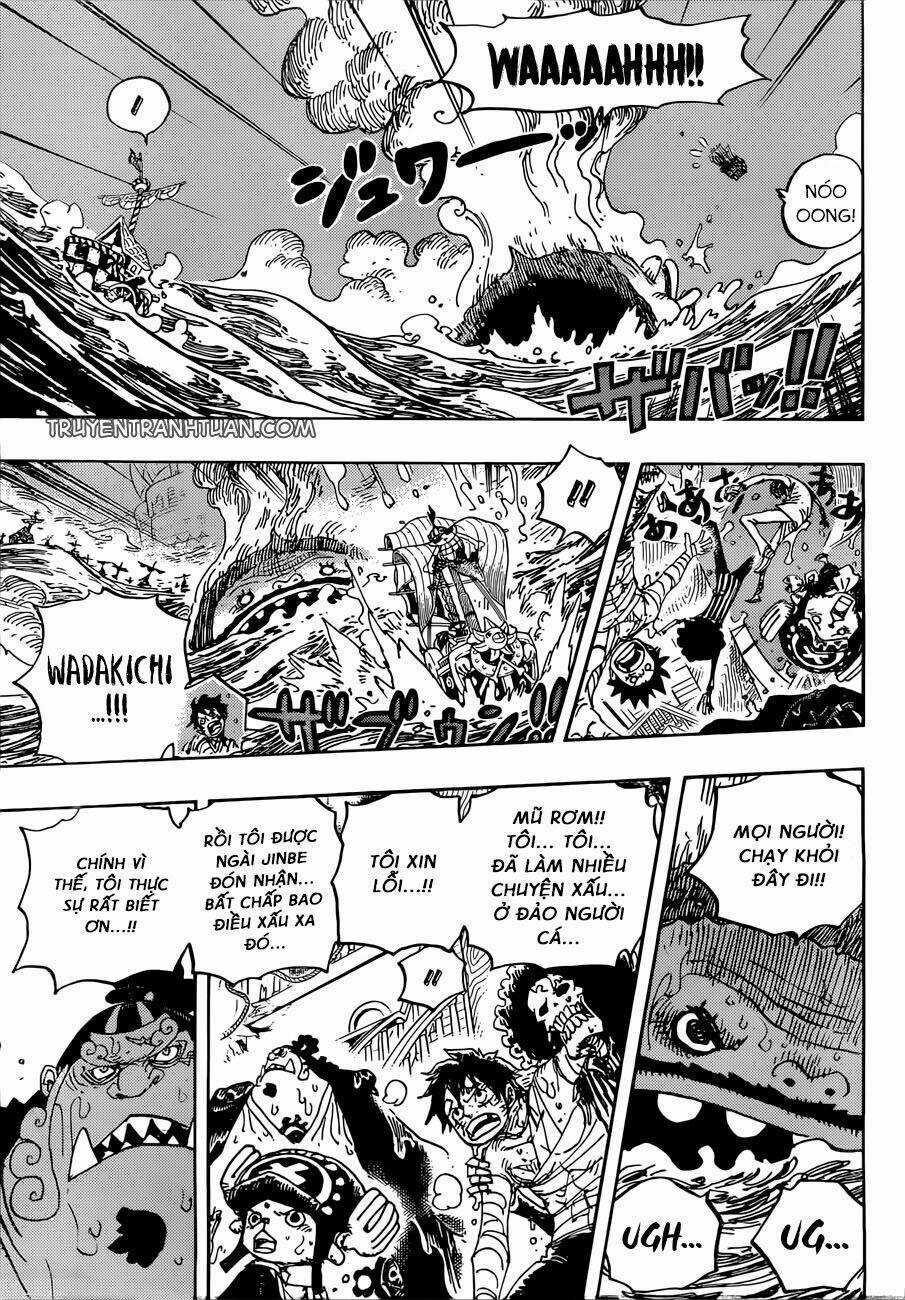 Đảo Hải Tặc - Chapter 901 - Trang 8
