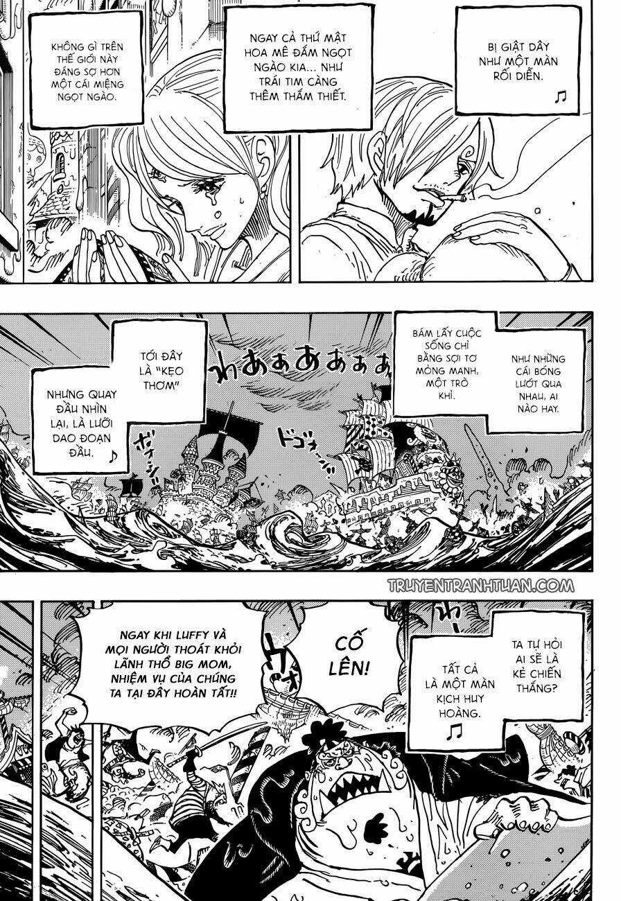 Đảo Hải Tặc - Chapter 902 - Trang 8