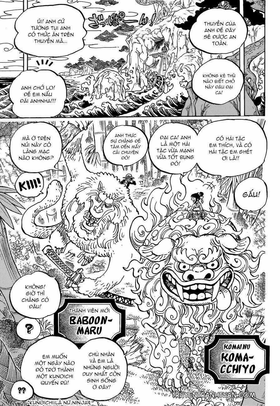 Đảo Hải Tặc - Chapter 911 - Trang 13