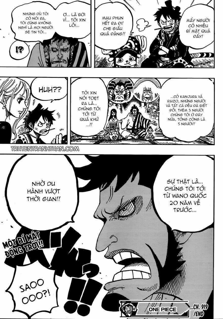 Đảo Hải Tặc - Chapter 919 - Trang 15