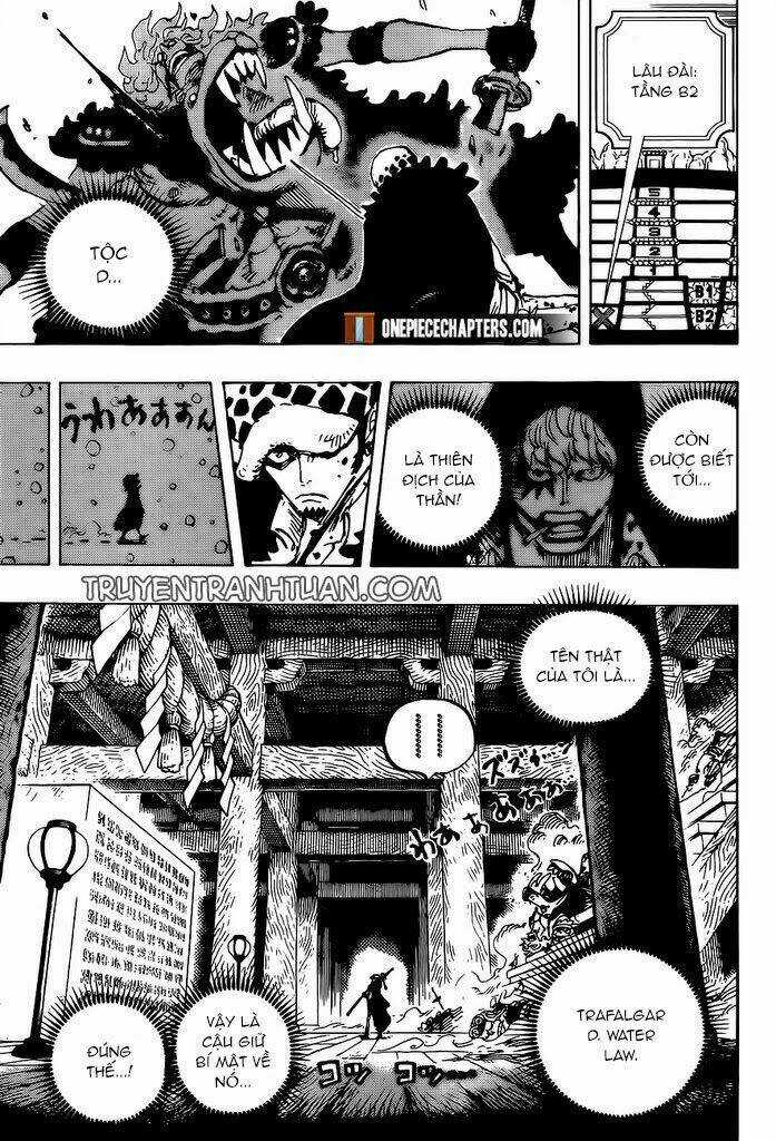 Đảo Hải Tặc - Chapter 996 - Trang 11