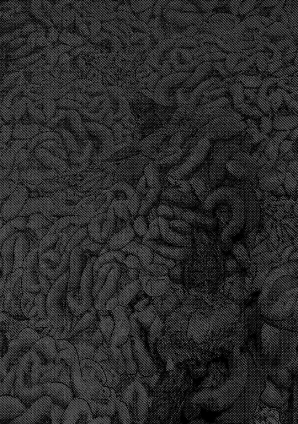 Đảo Kinh Hoàng - Chapter 11 - Trang 25