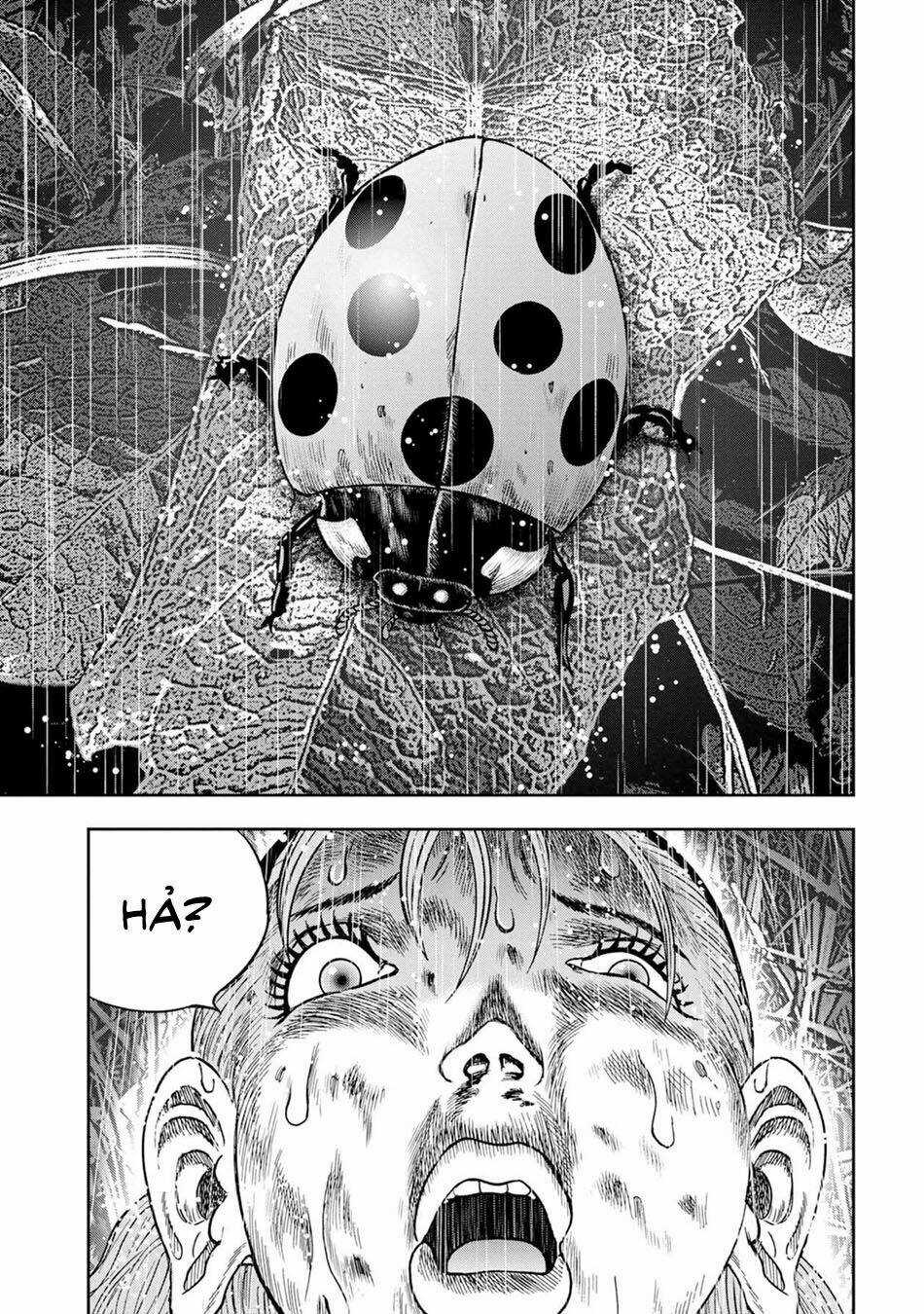 Đảo Kinh Hoàng - Chapter 14 - Trang 21