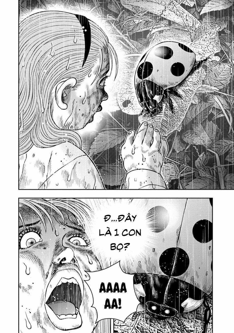 Đảo Kinh Hoàng - Chapter 14 - Trang 22