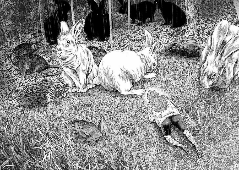 Đảo Kinh Hoàng - Chapter 14 - Trang 24