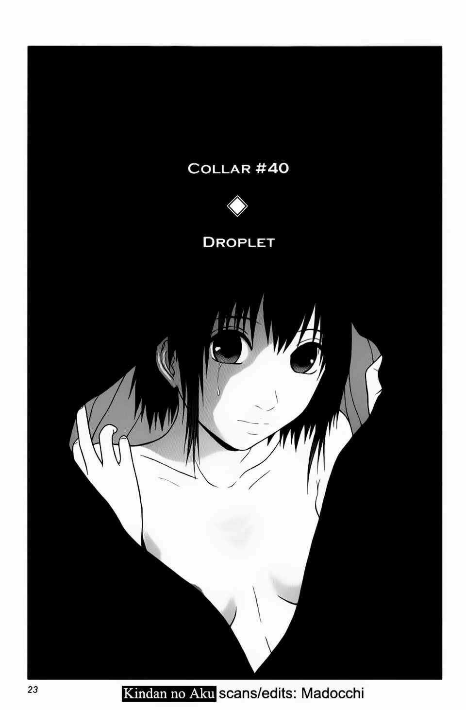 Đạo Luật Làm Lơ - Chapter 40 - Trang 2