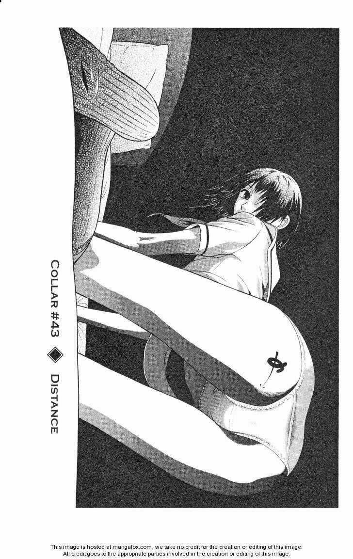 Đạo Luật Làm Lơ - Chapter 43 - Trang 4