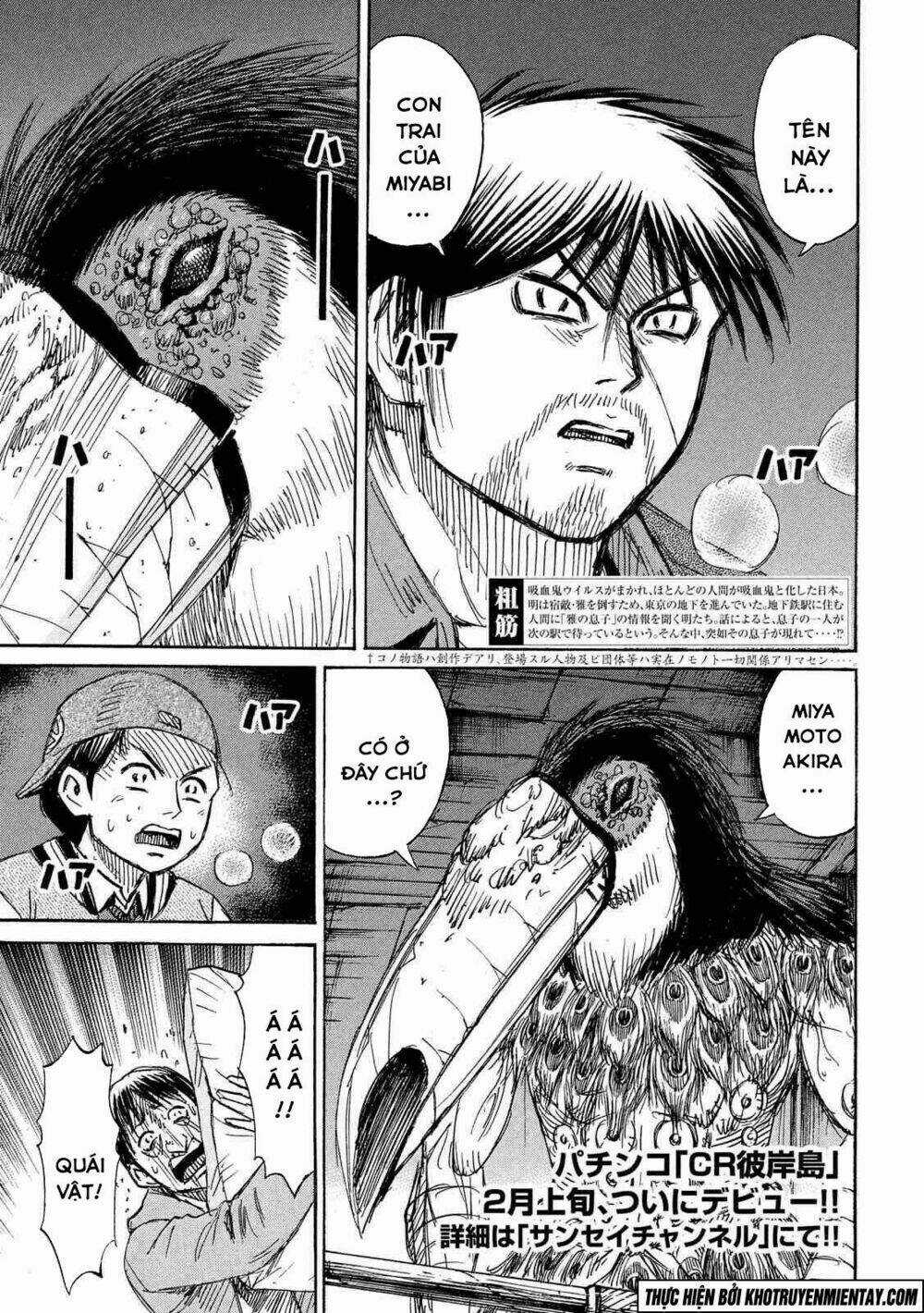 Đảo Ma Cà Rồng 3 - Chapter 146 - Trang 4