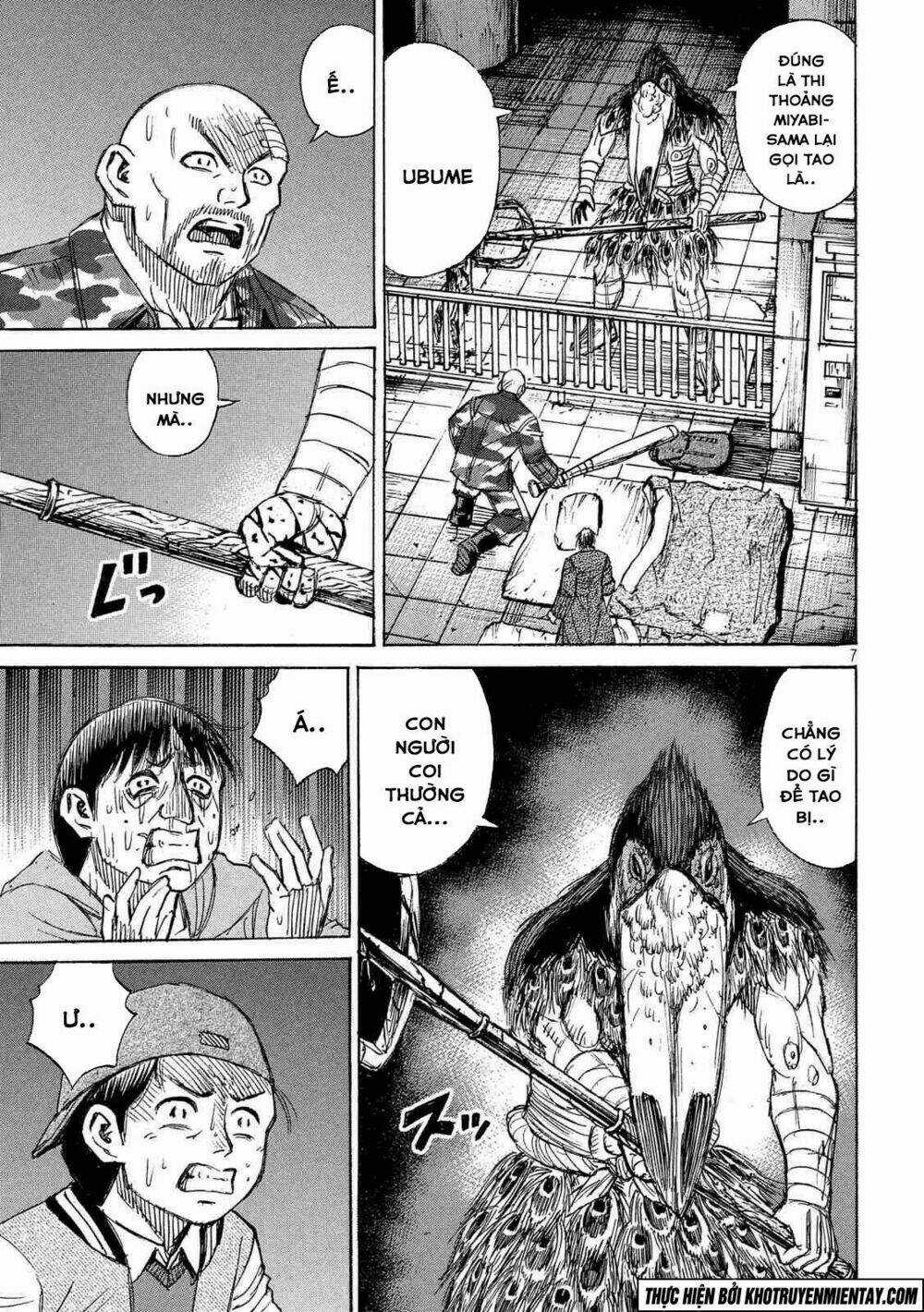 Đảo Ma Cà Rồng 3 - Chapter 146 - Trang 8