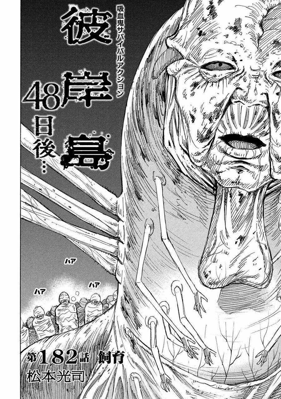 Đảo Ma Cà Rồng 3 - Chapter 182 - Trang 2