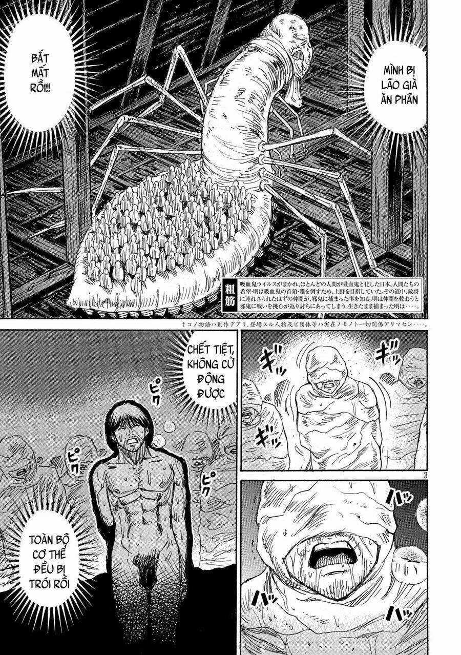 Đảo Ma Cà Rồng 3 - Chapter 182 - Trang 3