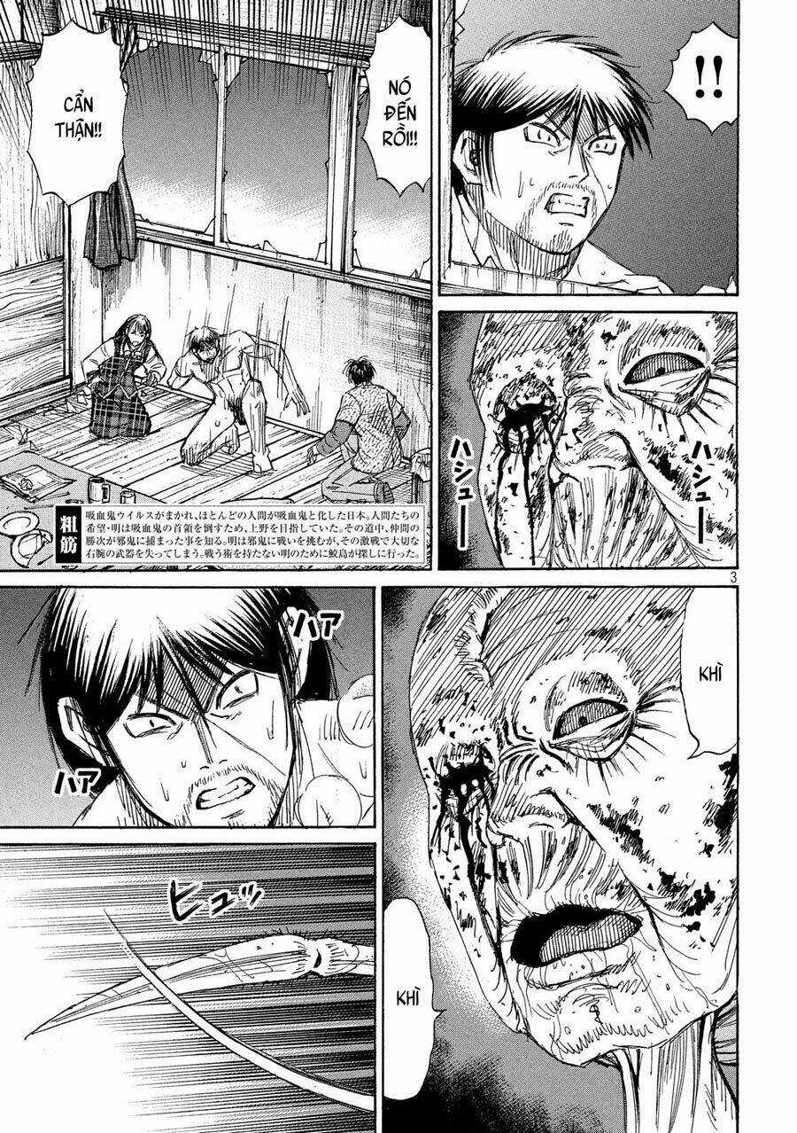 Đảo Ma Cà Rồng 3 - Chapter 185 - Trang 3