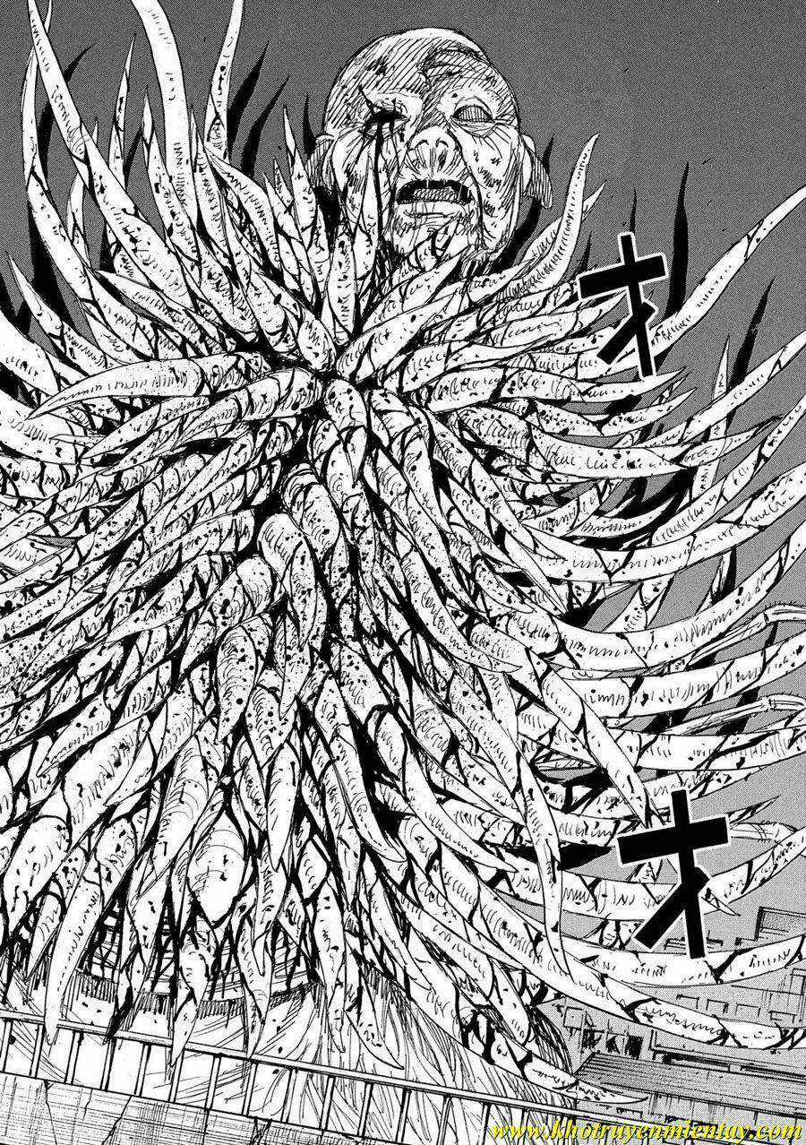 Đảo Ma Cà Rồng 3 - Chapter 187 - Trang 18