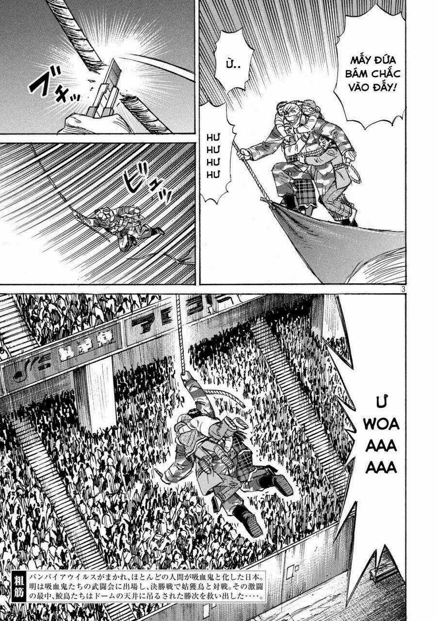 Đảo Ma Cà Rồng 3 - Chapter 216 - Trang 3