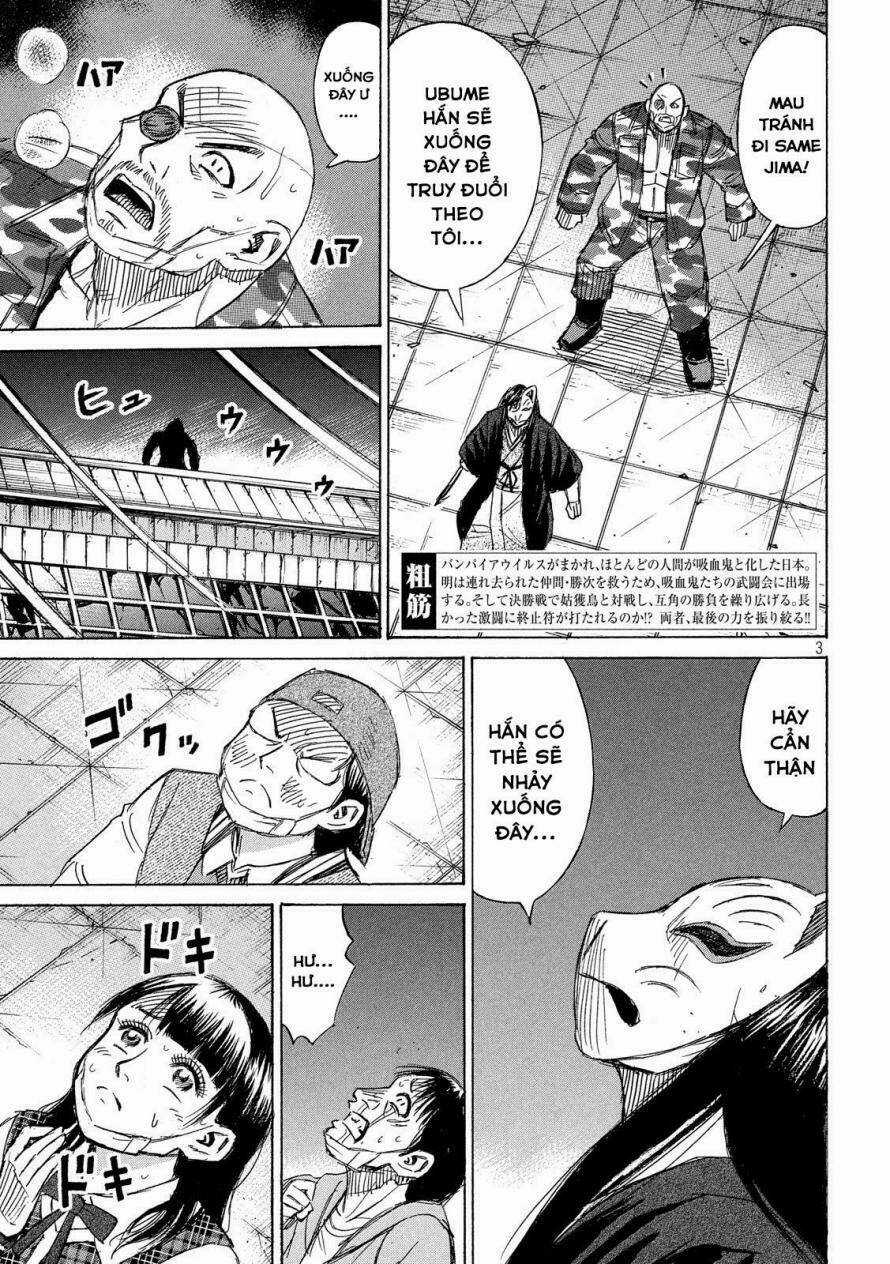 Đảo Ma Cà Rồng 3 - Chapter 219 - Trang 3