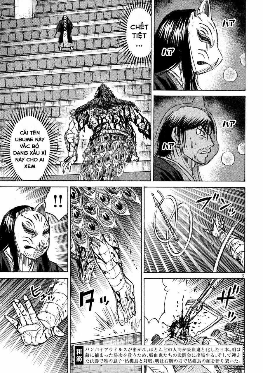 Đảo Ma Cà Rồng Phần 3 - Chapter 213 - Trang 3