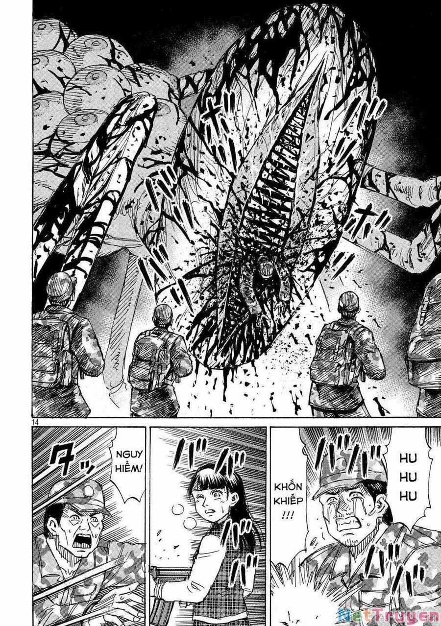 Đảo Ma Cà Rồng Phần 3 - Chapter 236 - Trang 14