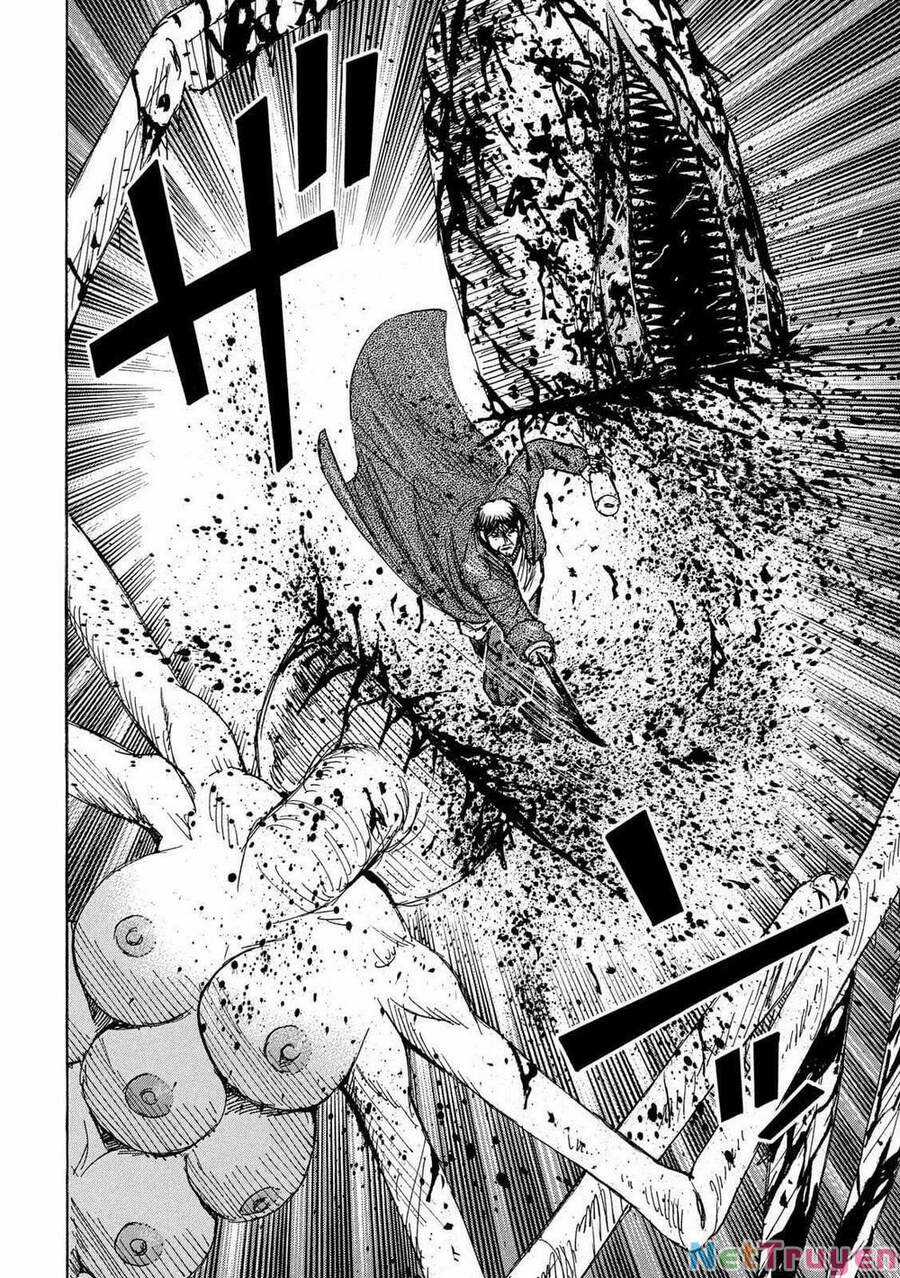 Đảo Ma Cà Rồng Phần 3 - Chapter 236 - Trang 10