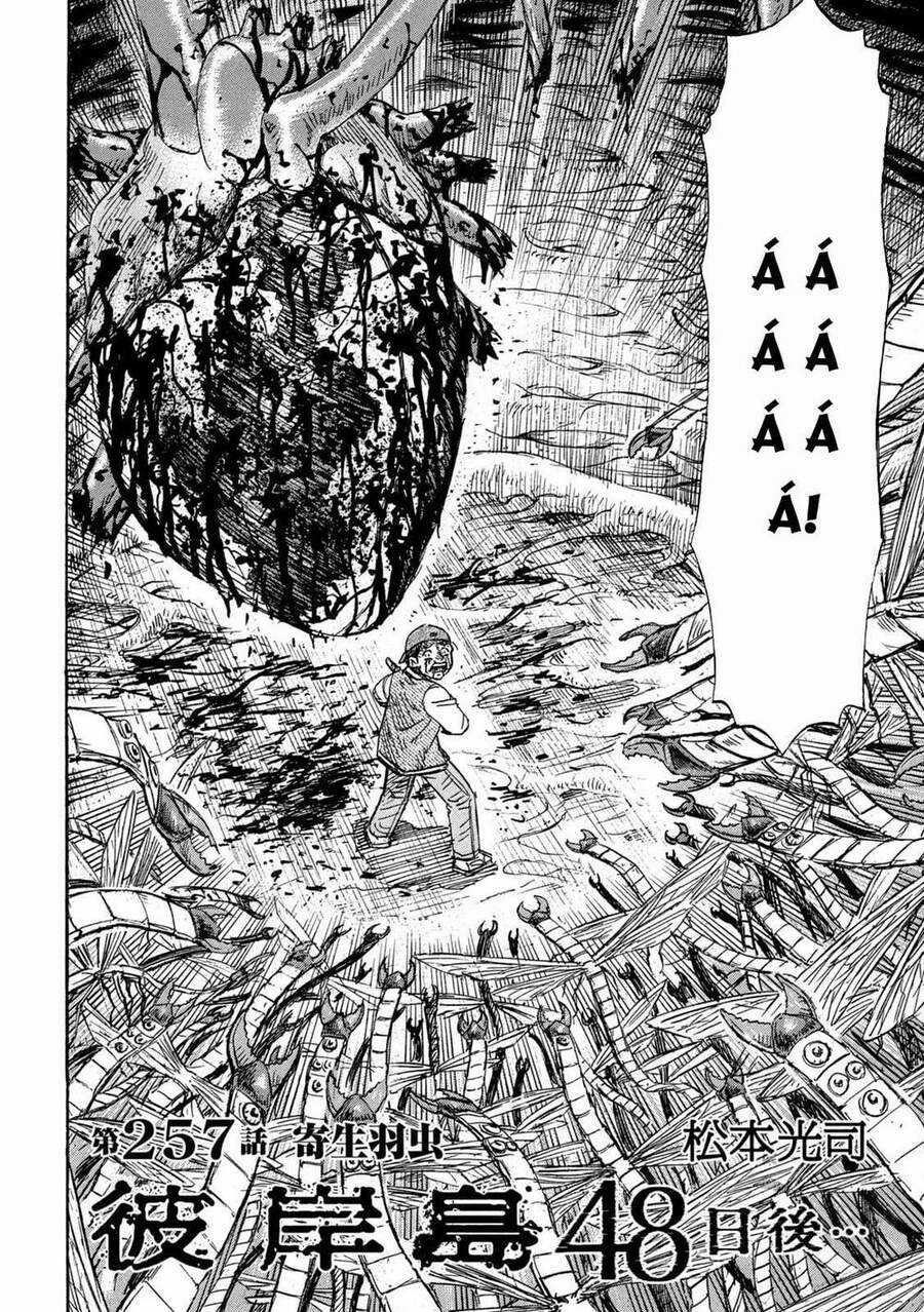 Đảo Ma Cà Rồng Phần 3 - Chapter 756 - Trang 2