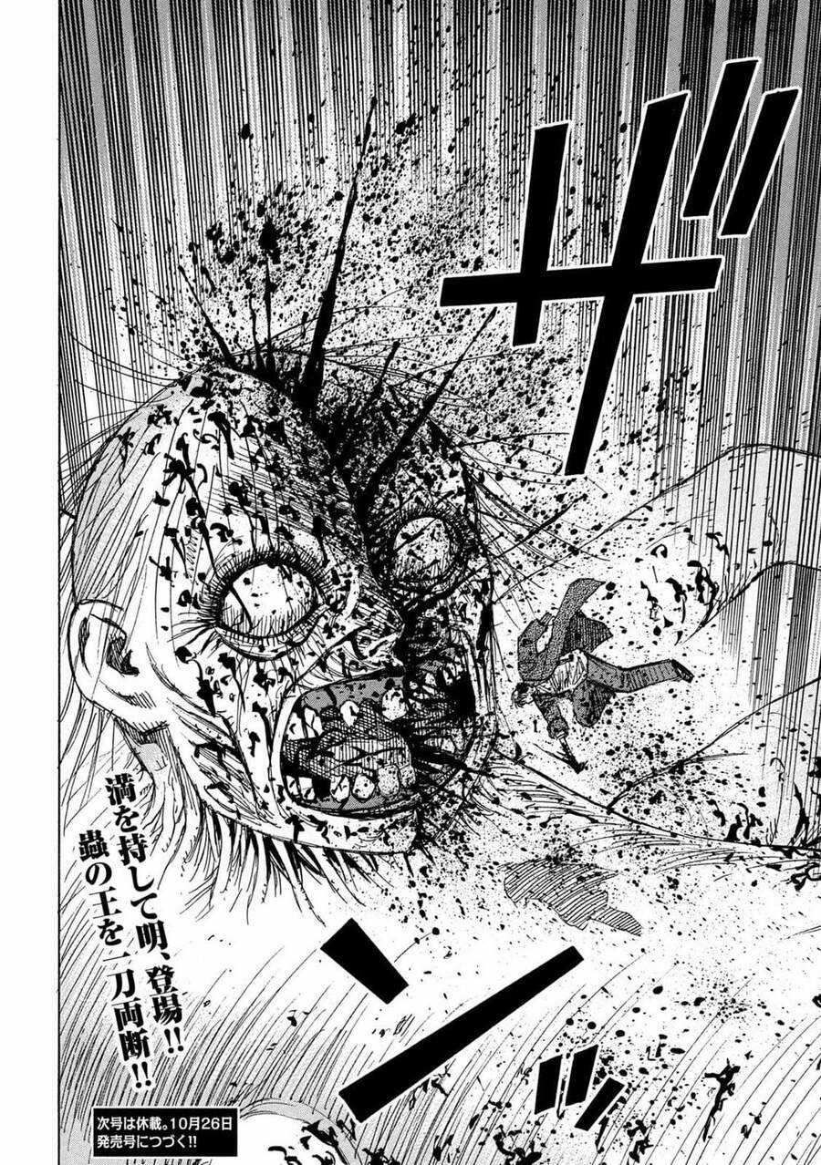 Đảo Ma Cà Rồng Phần 3 - Chapter 759 - Trang 21