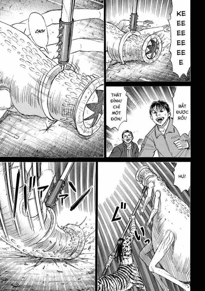 Đảo Ma Cà Rồng Phần 3 - Chapter 772 - Trang 12