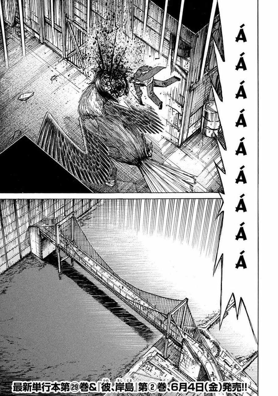 Đảo Ma Cà Rồng Phần 3 - Chapter 784 - Trang 4