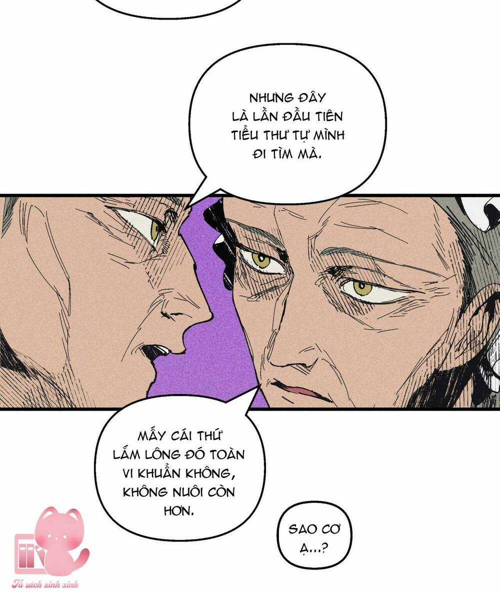 Đảo Phù Thủy - Chapter 10 - Trang 21