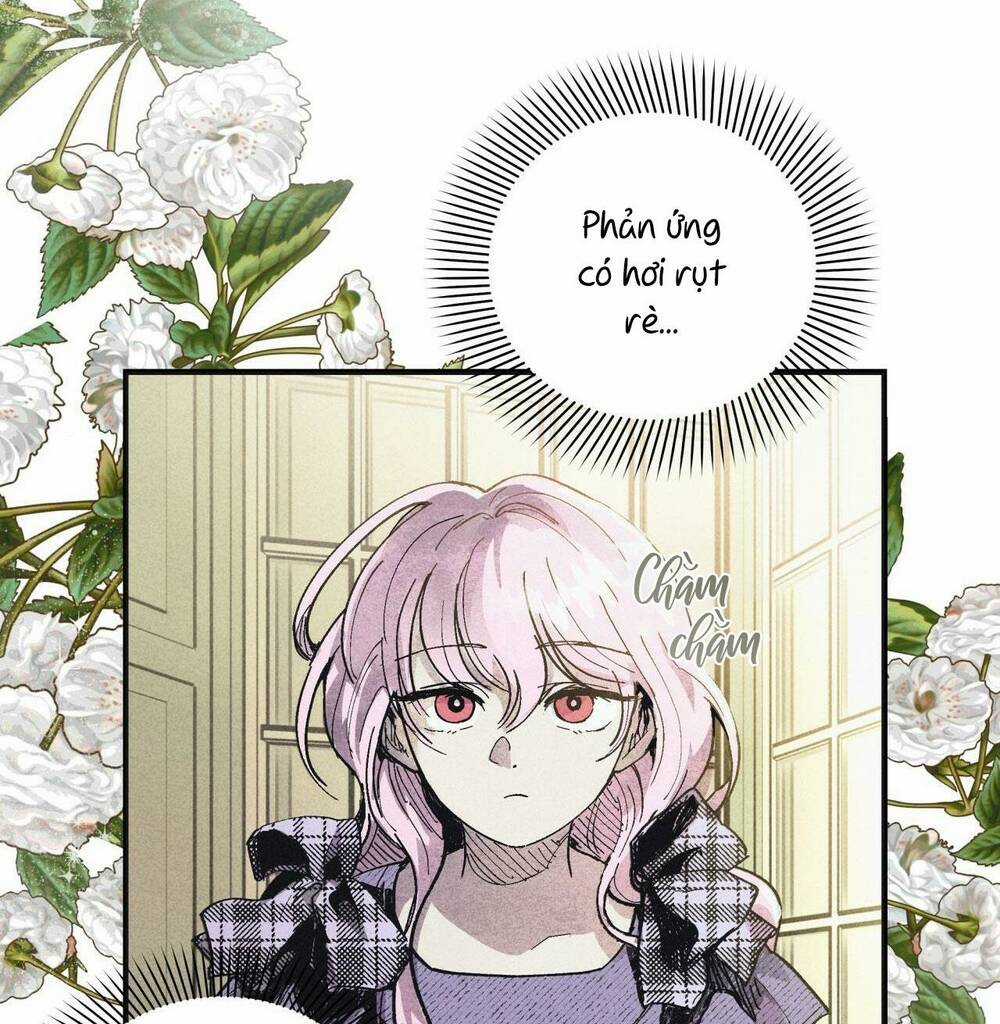 Đảo Phù Thủy - Chapter 2 - Trang 31