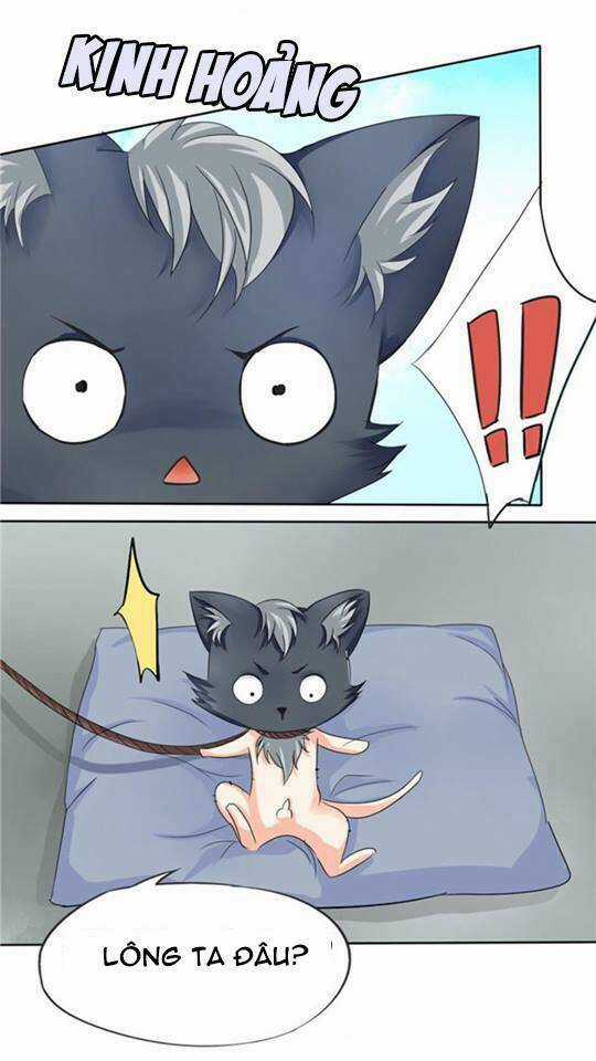 Đạo Sĩ Cưới Ta Đi - Chapter 2 - Trang 9