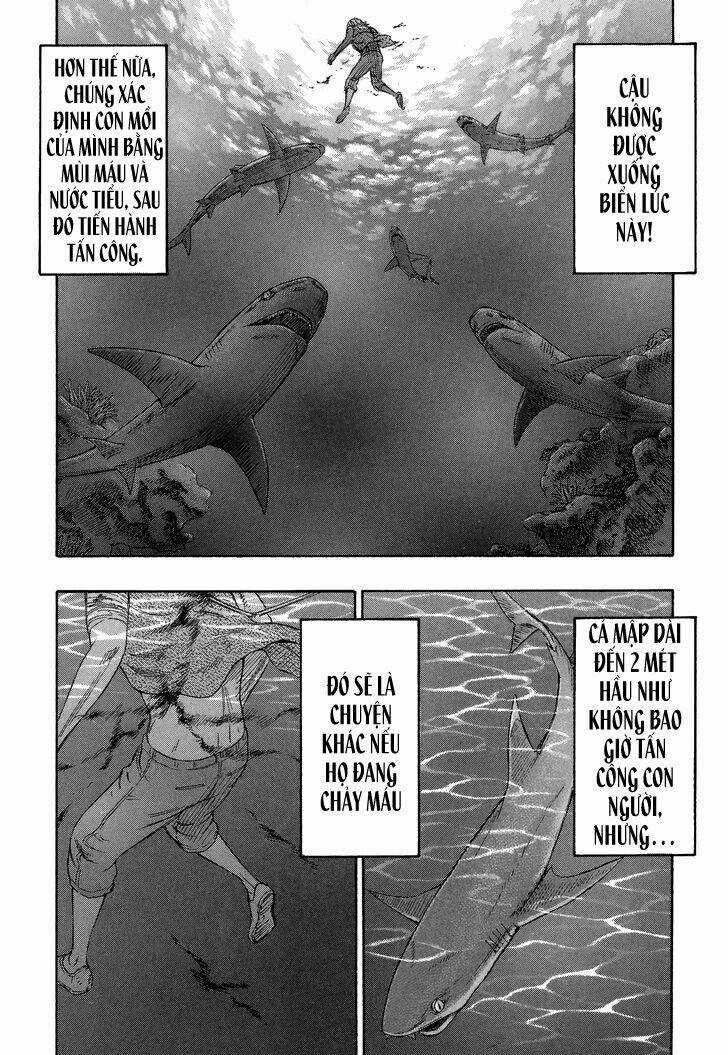 Đảo Tự Sát - Chapter 148 - Trang 5