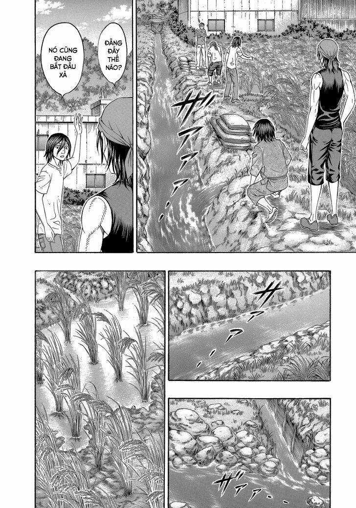 Đảo Tự Sát - Chapter 150 - Trang 14