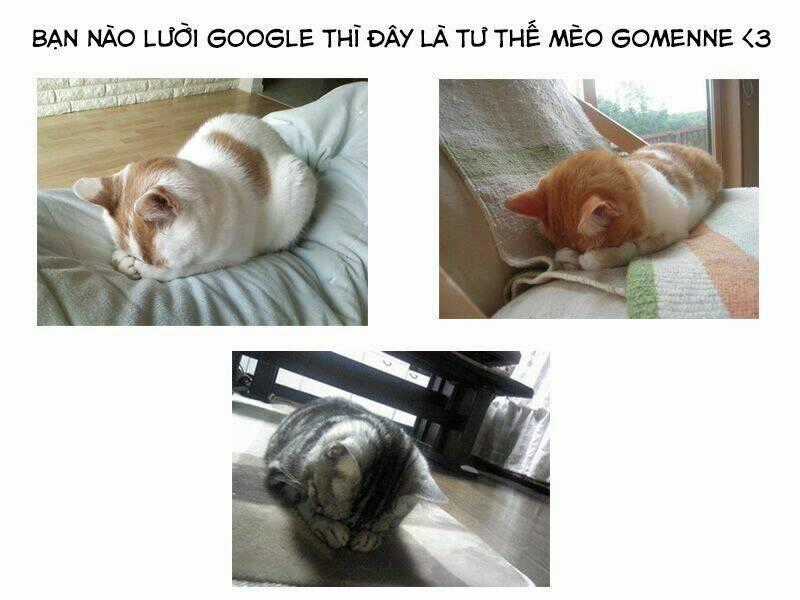 Dare datte Skylark - Chapter 1 - Trang 37