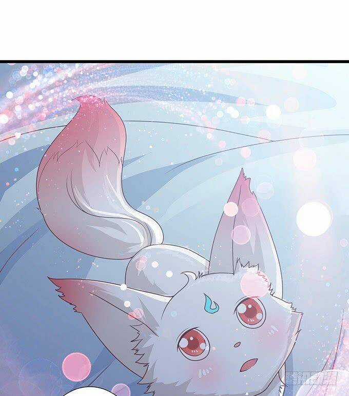 Đát Kỷ Bất Thị Họa Hồ Ly - Chapter 3 - Trang 5