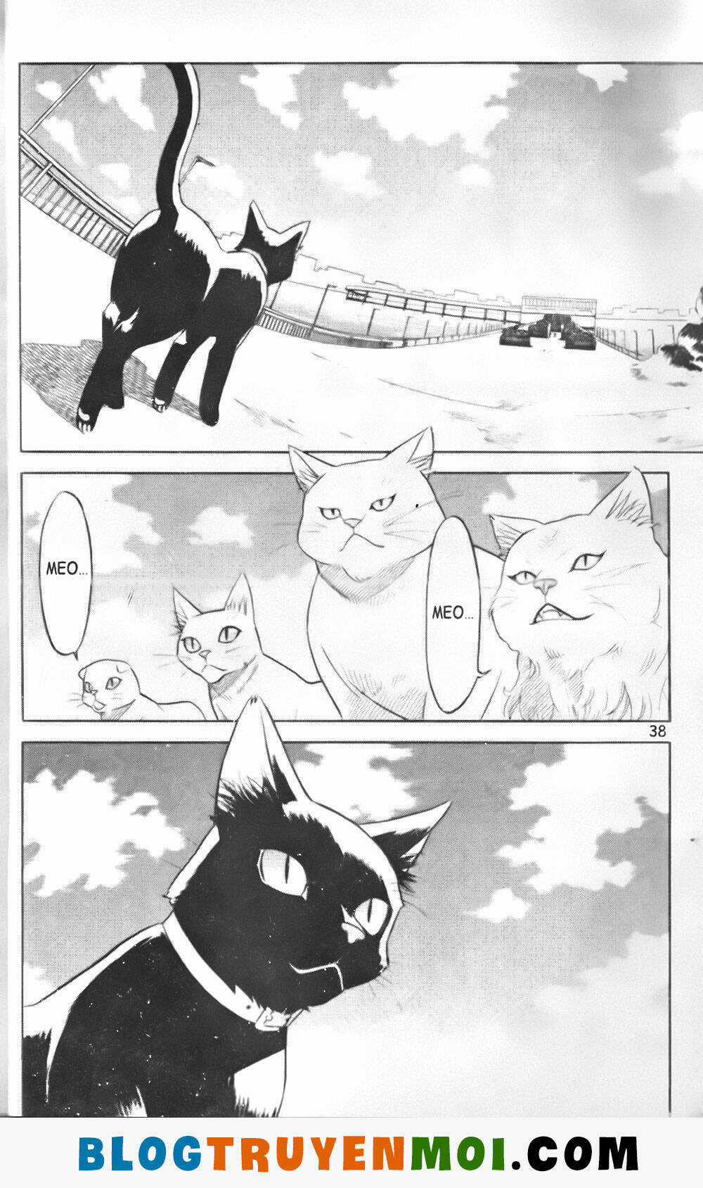 Đất Nước Mùa Xuân - Chapter 29 - Trang 18