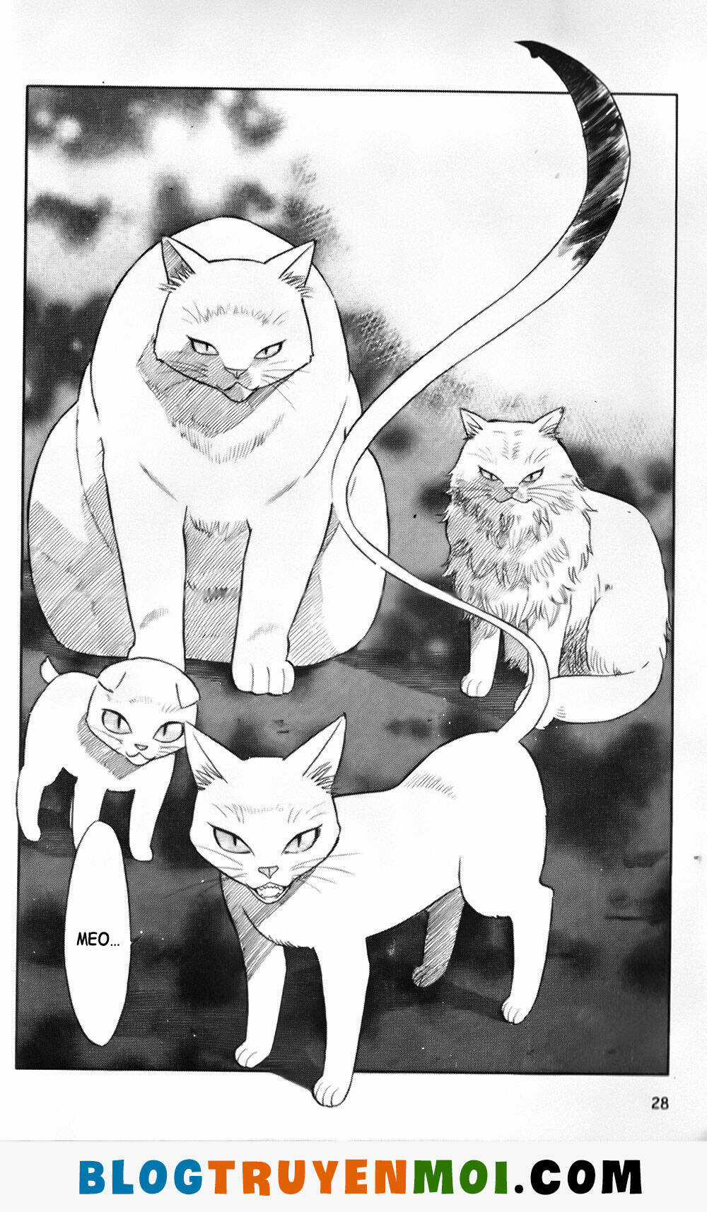 Đất Nước Mùa Xuân - Chapter 29 - Trang 8