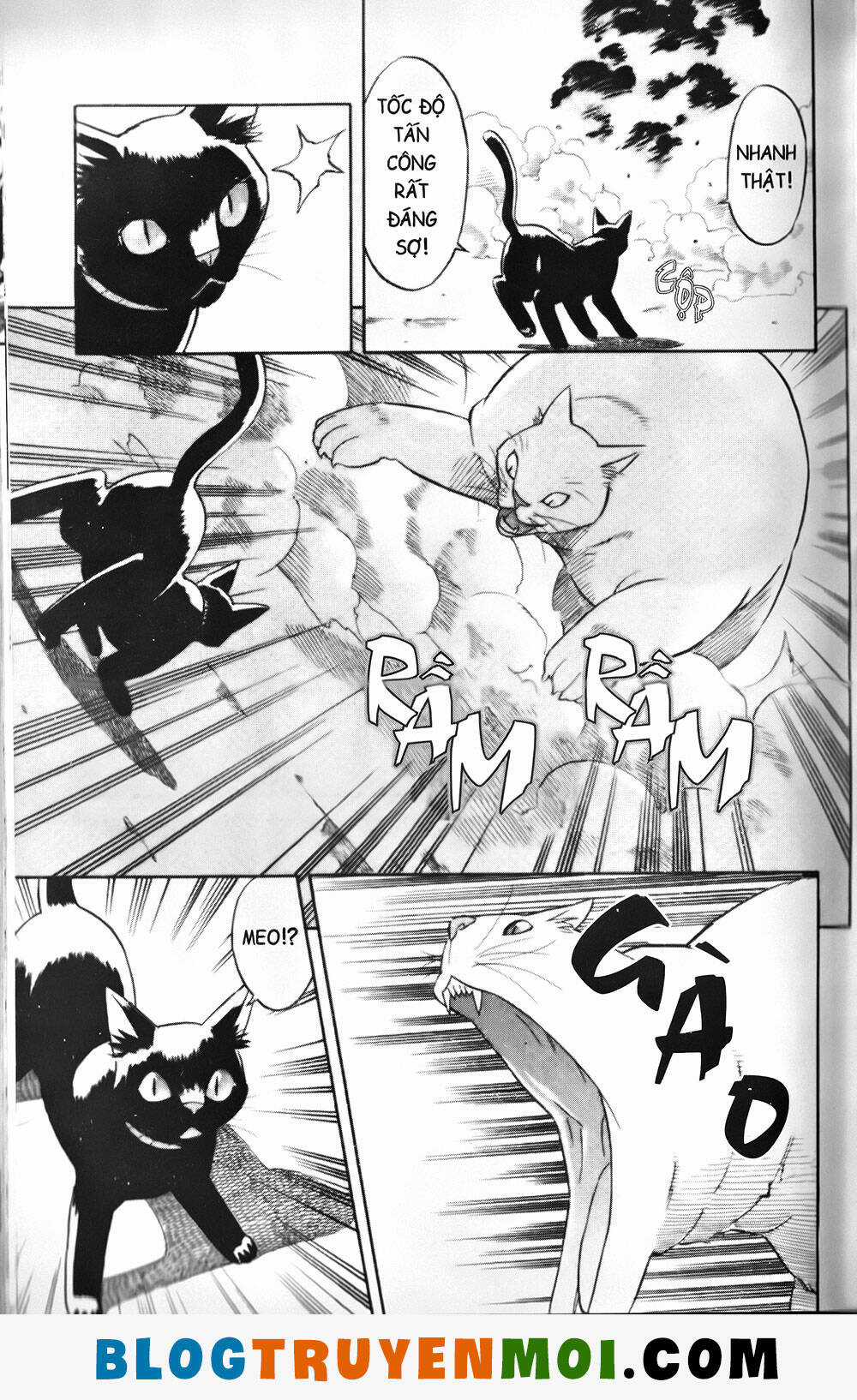 Đất Nước Mùa Xuân - Chapter 30 - Trang 5