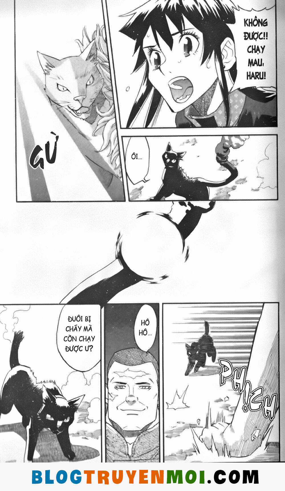 Đất Nước Mùa Xuân - Chapter 31 - Trang 11