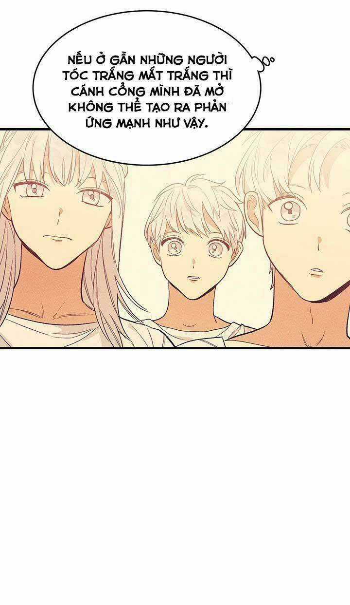 Đầu Bếp Hoàng Gia - Chapter 33 - Trang 64