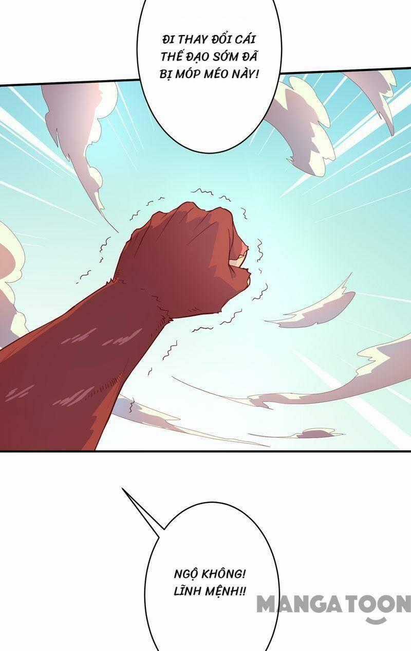 Đấu Chiến Thắng Phật - Chapter 142 - Trang 35