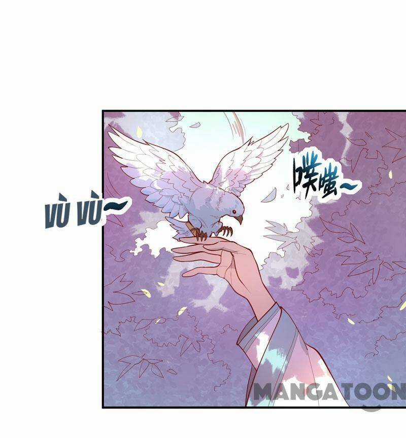 Đấu Chiến Thắng Phật - Chapter 155 - Trang 29