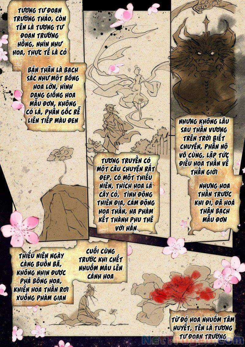 Đấu La Đại Lục 2 - Chapter 270 - Trang 4