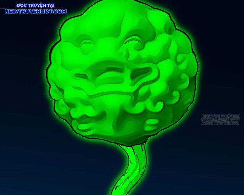 Đấu Yếm Thần - Chương 242 - Trang 62